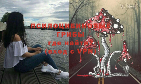 стафф Вязники