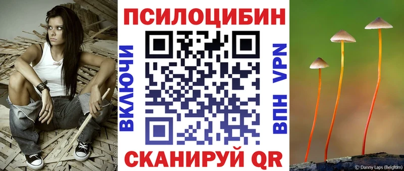 цены наркотик  Константиновск  Псилоцибиновые грибы ЛСД 